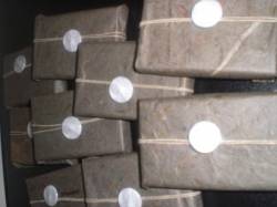 Children Egoism : Children Egoism - Thorazine Gaze Children Egoism : Children Egoism - Thorazine Gaze